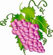 Image result for 4 Grapes Clip Art