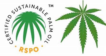 Image result for Sustainable Money Logo