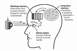 Image result for Difference Between History and Memory