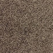 Image result for Home Depot Carpet Colors