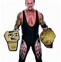 Image result for Undertaker WWE Champion