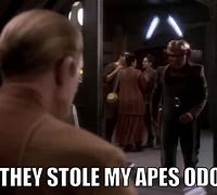 Image result for They Stole My Ape