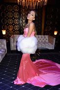 Image result for Ariana Grande Pink Fur