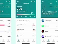 Image result for Mint iPhone Mobile