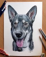Image result for Cool Drawings of Dogs