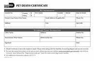 Image result for Steve Death Certificate