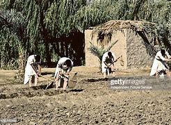 Image result for Ancient Egyptian Farming Tools