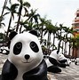 Image result for Hong Kong Panda