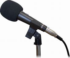 Image result for Brown Mic