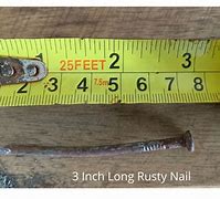 Image result for 3 Inches Long