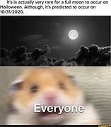 Image result for Moon Cat Meme