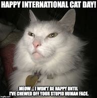 Image result for Happy International Cat Day Meme