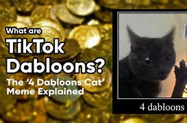 Image result for Doubloons Cat Meme