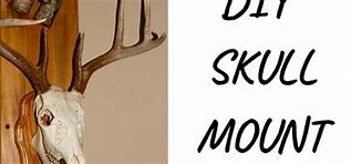 Image result for Deer Skull Mount Ideas