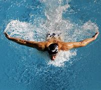 Image result for Swimming Wallpaper Butter Fly