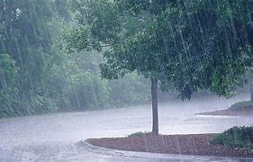 Image result for Very Heavy Raining Falling at Hot Rod Car Show