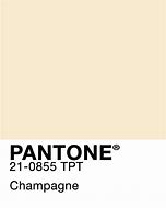 Image result for Couleur Champagne Pantone