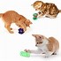 Image result for I Want a Cat Toys