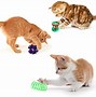 Image result for Interactive Cat Enrichment Toys
