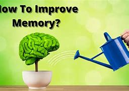 Image result for Methods to Improve Memory in Psychology