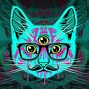 Image result for Trippy Psychedelic Cat