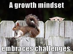 Image result for Growth Mindset Meme