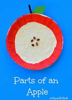 Image result for Parts of an Apple Craft