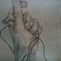 Image result for Earbuds Drawing