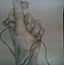 Image result for Apple Earbuds Drawing