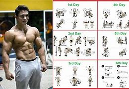 Image result for Beginner Bodybuilding Workout Routine