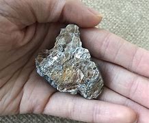 Image result for agroqi�mica