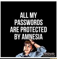 Image result for All My Passwords Are Protected by Amnesia