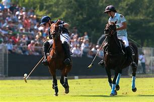 Image result for World Polo Championship