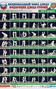 Image result for Judo Basics