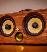 Image result for Audiophile Speakers Portable