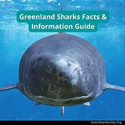 Image result for River Monsters Greenland Shark
