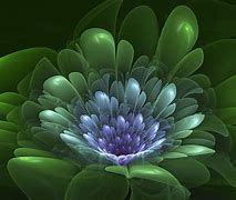 Image result for Fractal Flower Wallpaper