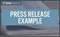 Image result for Professional Press Release
