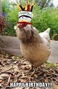 Image result for Chicken Birthday Meme