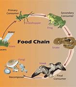 Image result for The Life Cycle of Locally Sourced Food Can Be Known