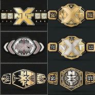 Image result for WWE NXT Championship Belt