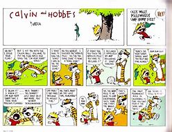 Image result for calvin and hobbes calvinball