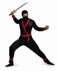 Image result for Adult Ninja Costume
