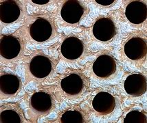 Image result for Trypophobia Skin Disease