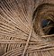 Image result for Ancient Rope