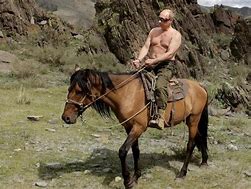 Image result for Putin Horseback