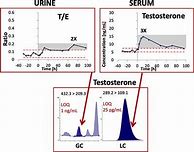 Image result for Sean Kelly Doping