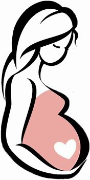 Image result for Baby Bump Drawing