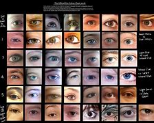 Image result for Human Brown Eye Color Chart