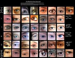 Image result for Eye Color Pie-Chart